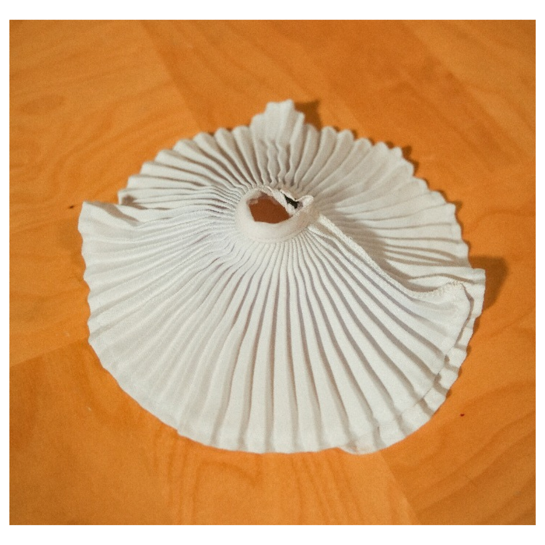 White pleated skirt